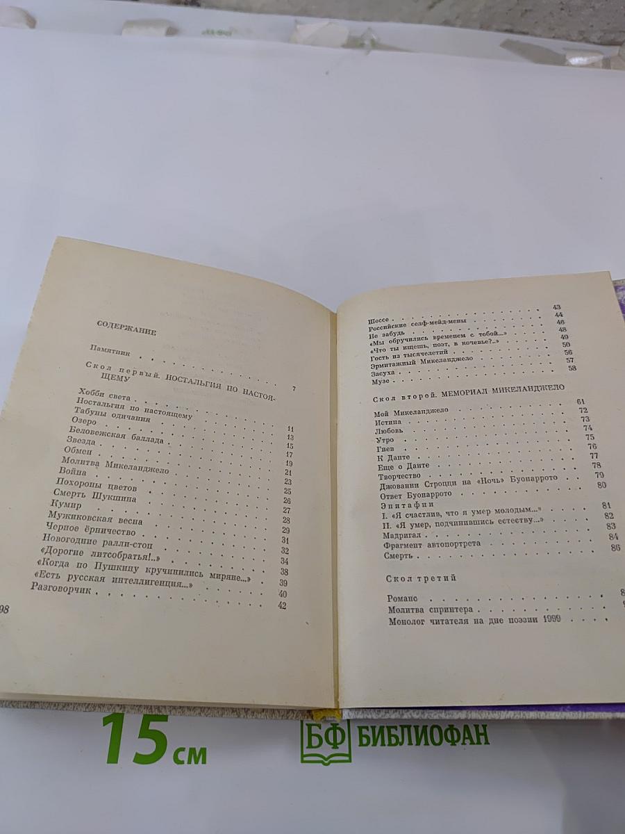 Витражных дел мастер