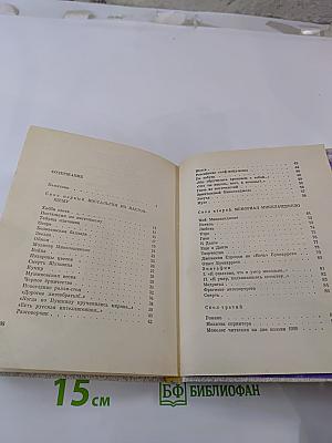 Витражных дел мастер