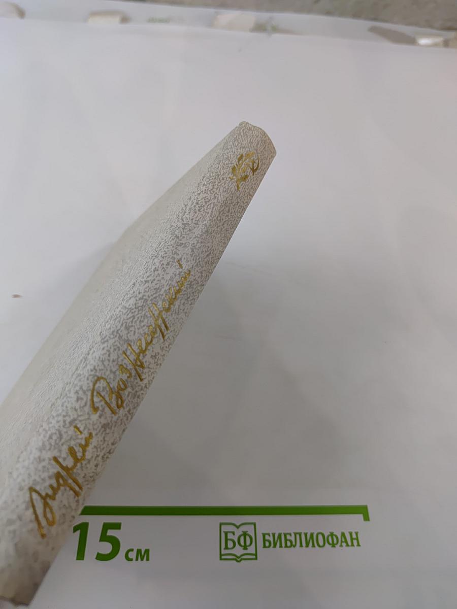 Витражных дел мастер