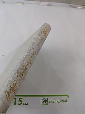 Витражных дел мастер