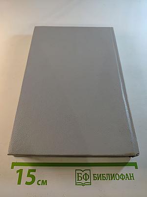 День пистолетов