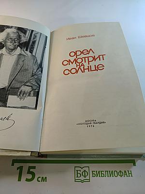 Орел смотрит на солнце