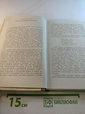 Орел смотрит на солнце