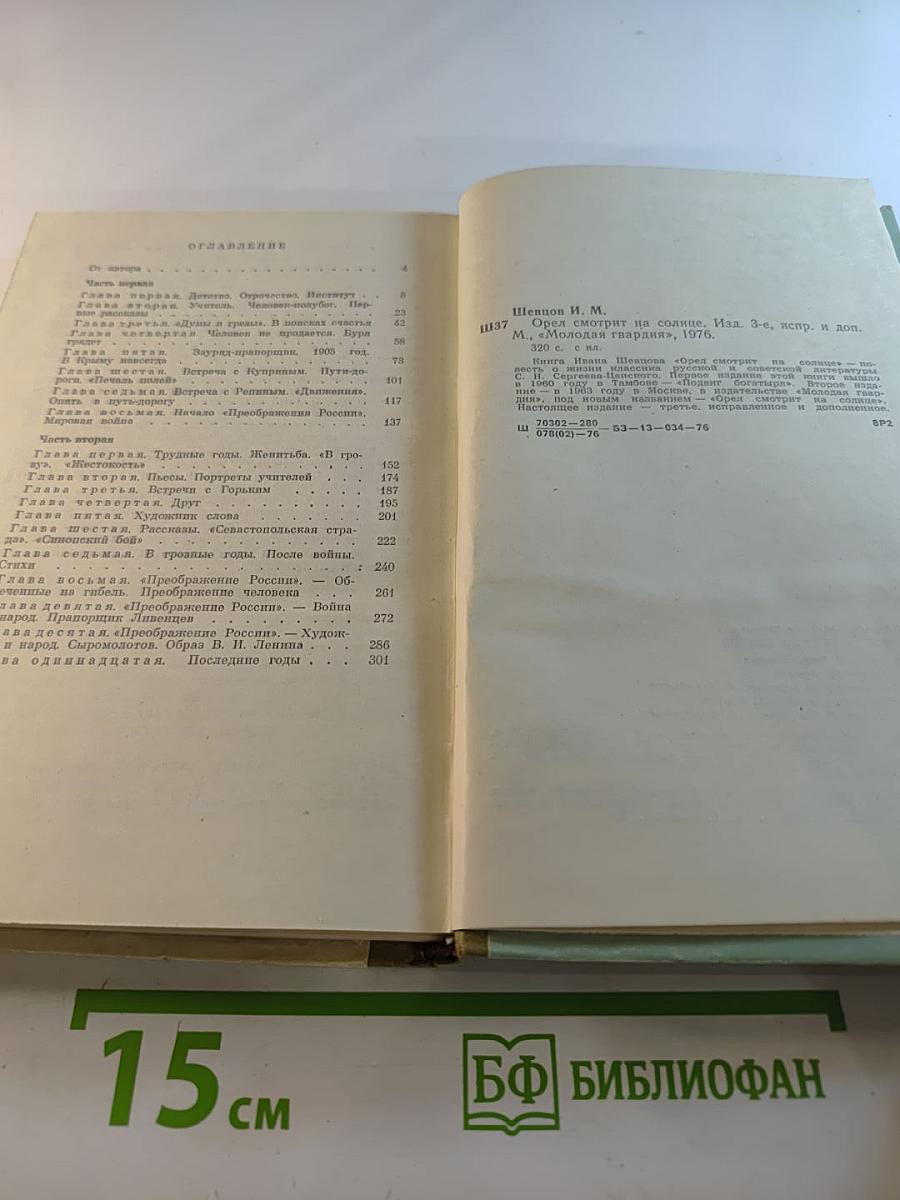 Орел смотрит на солнце