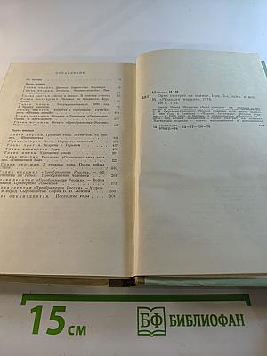 Орел смотрит на солнце