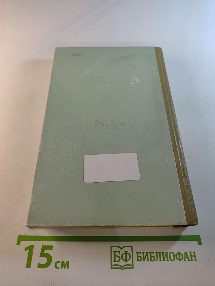 Орел смотрит на солнце