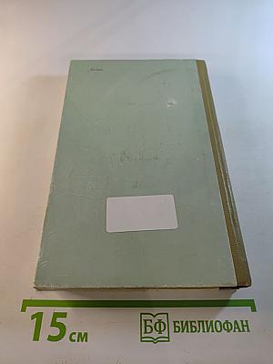 Орел смотрит на солнце