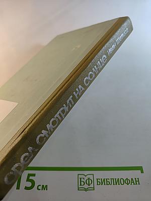 Орел смотрит на солнце