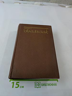 Человеческая комедия. Философские этюды. Том 13