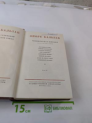Человеческая комедия. Философские этюды. Том 13