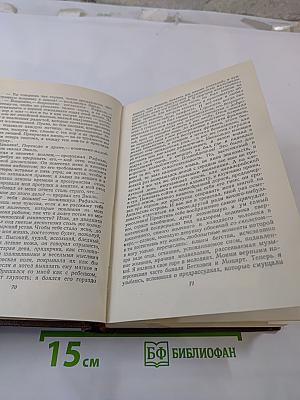 Человеческая комедия. Философские этюды. Том 13