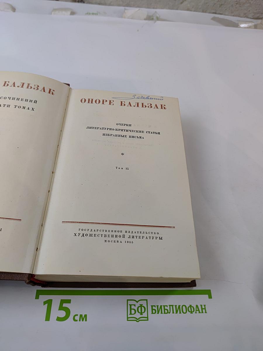 Очерки. Литературно-критические статьи. Избранные письма. Том 15