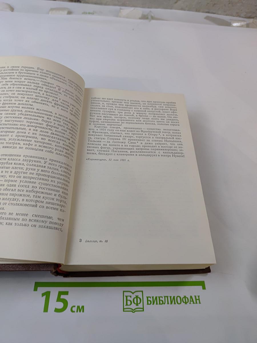 Очерки. Литературно-критические статьи. Избранные письма. Том 15