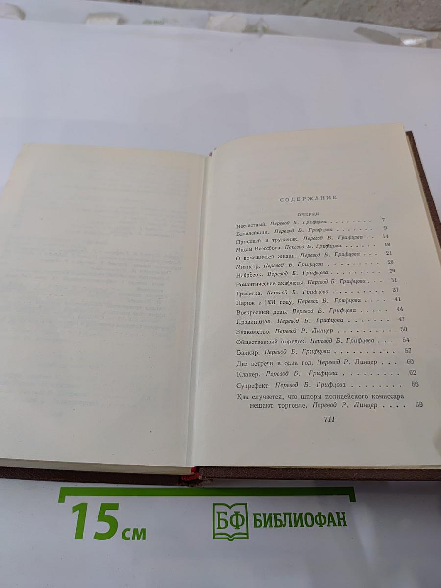 Очерки. Литературно-критические статьи. Избранные письма. Том 15