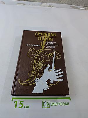 Судебная Петля. Секретная история политических процессов на Западе