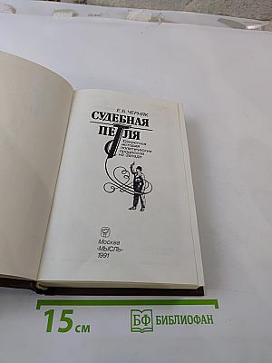 Судебная Петля. Секретная история политических процессов на Западе