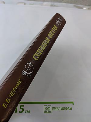 Судебная Петля. Секретная история политических процессов на Западе
