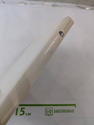 Павел Мочалов