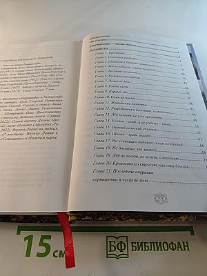 Романы: Степановы и Мир, канувший в Лету