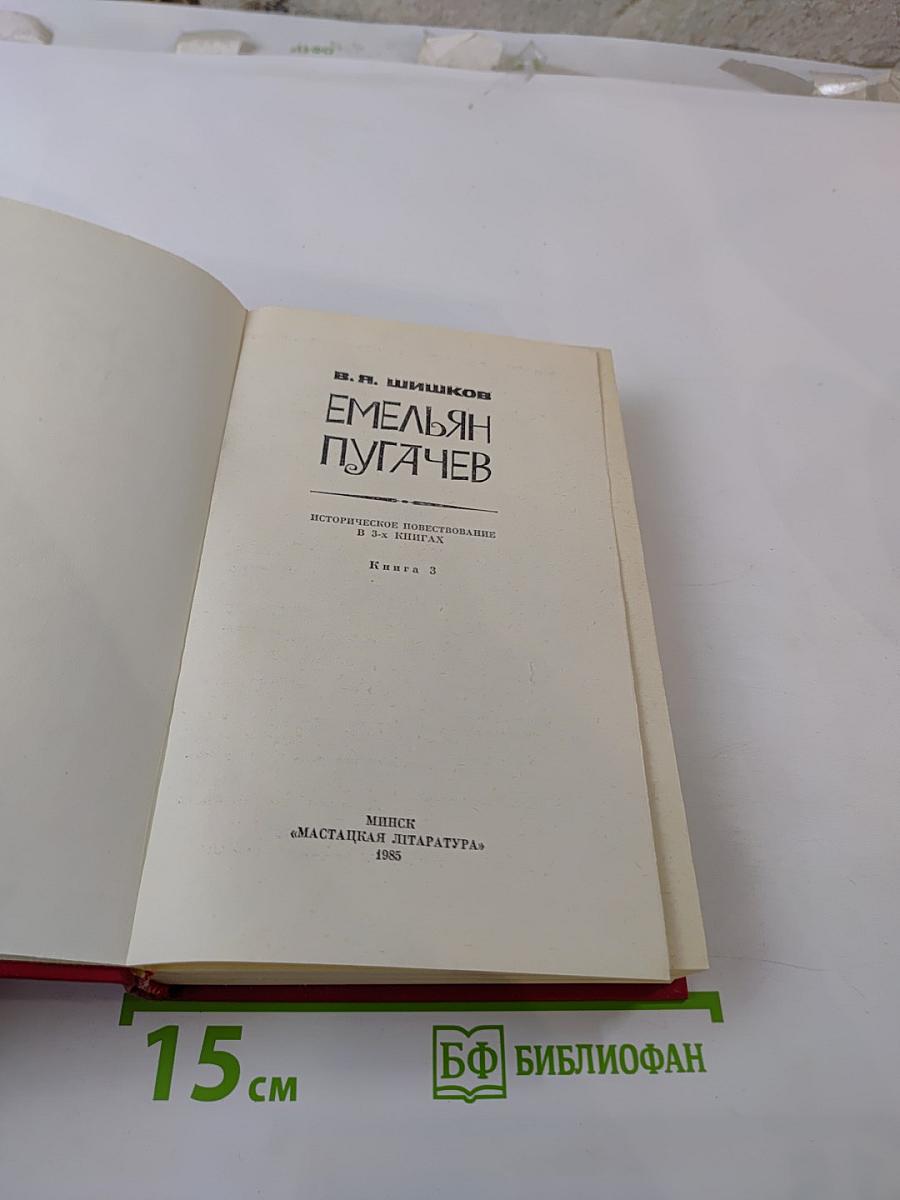 Емельян Пугачев. Книга 3