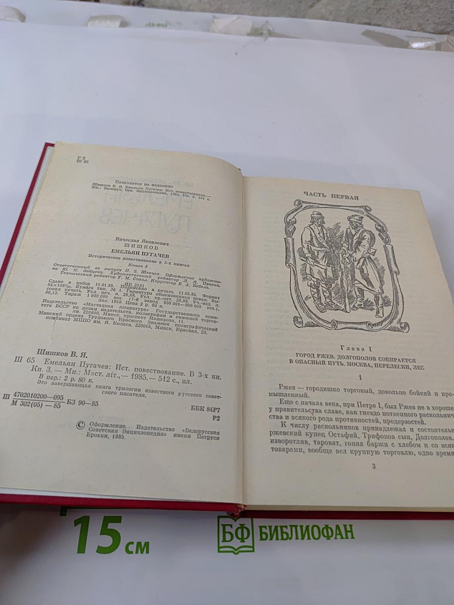 Емельян Пугачев. Книга 3