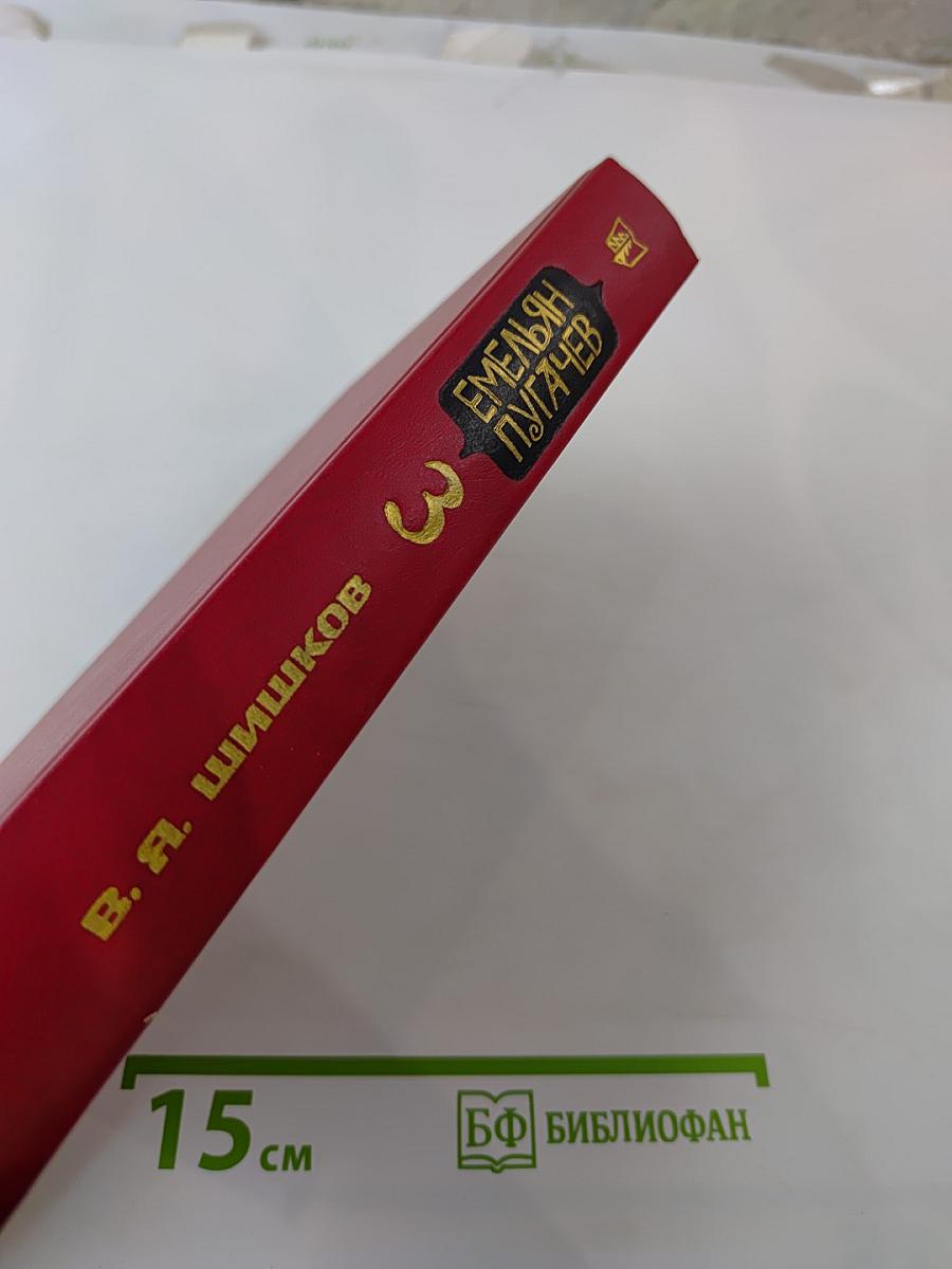 Емельян Пугачев. Книга 3