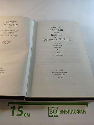 Шуаны, или Бретань в 1799 году