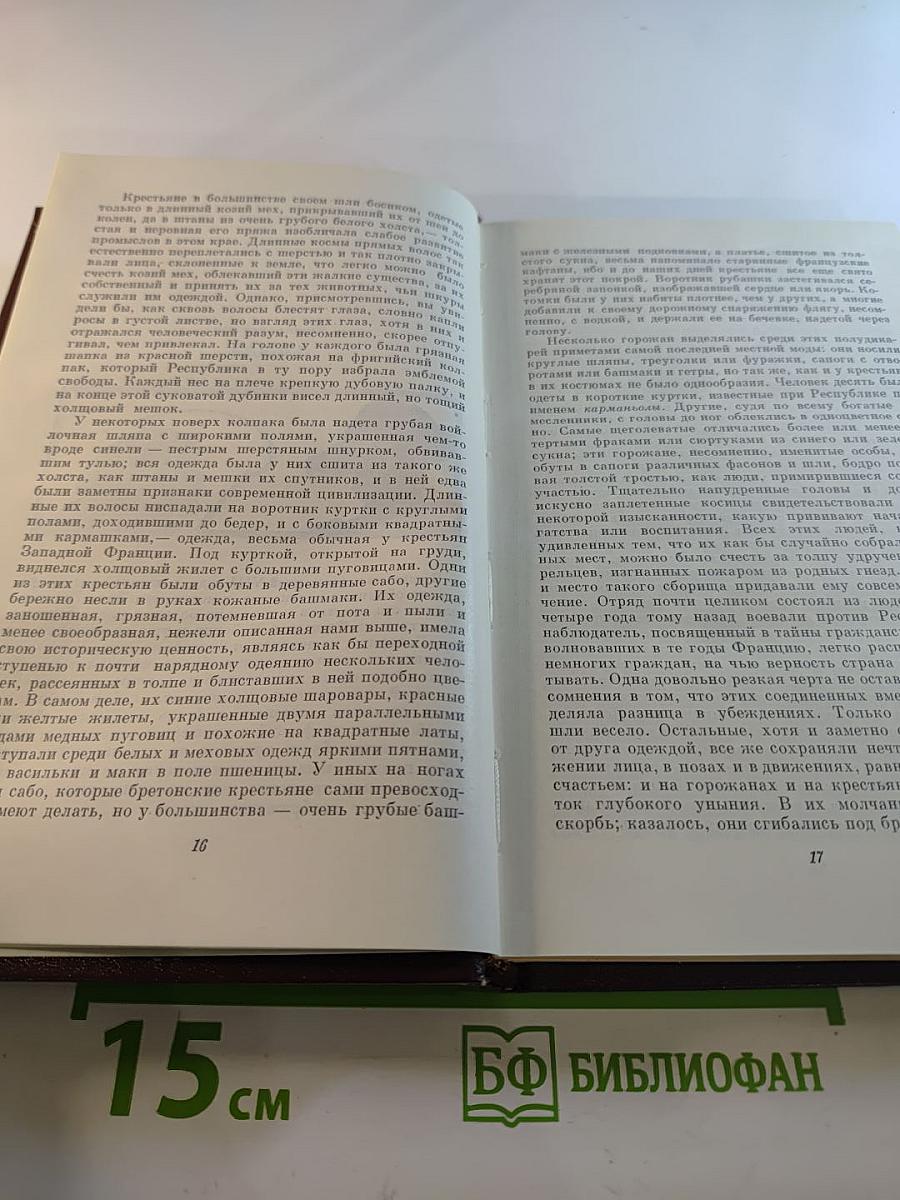 Шуаны, или Бретань в 1799 году