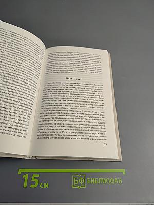 Отечественный опыт