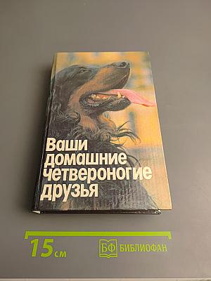 Ваши домашние четвероногие друзья