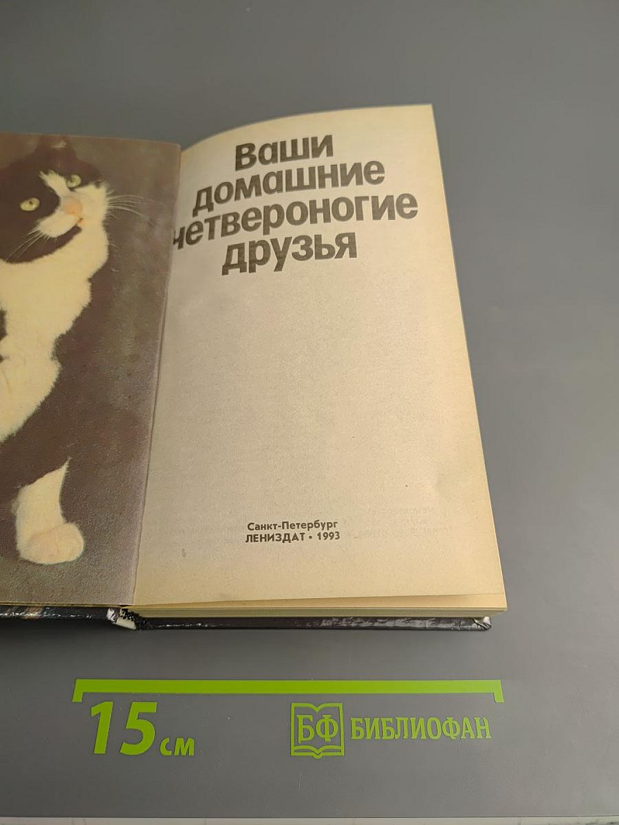 Ваши домашние четвероногие друзья