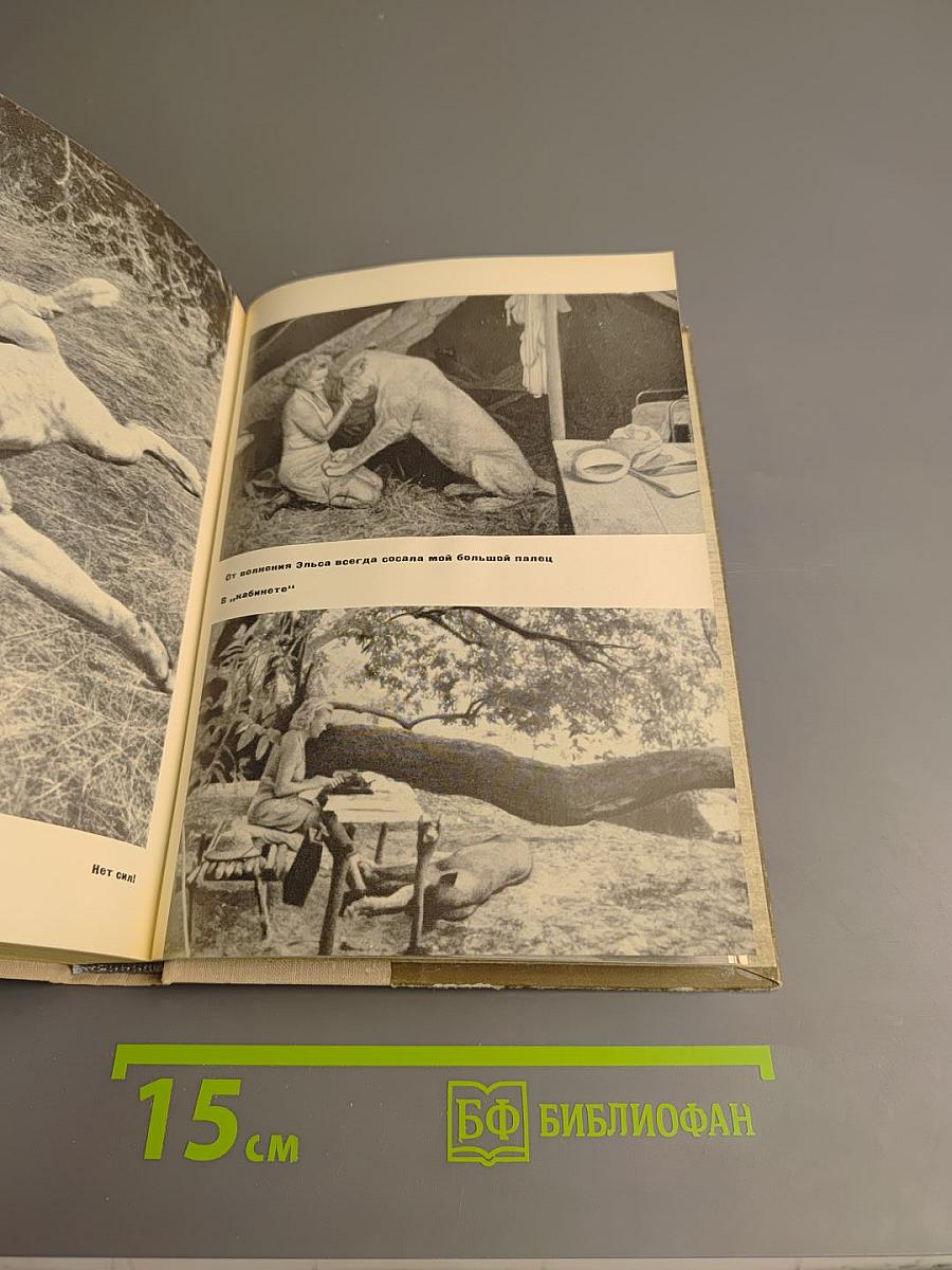 Рожденная свободной