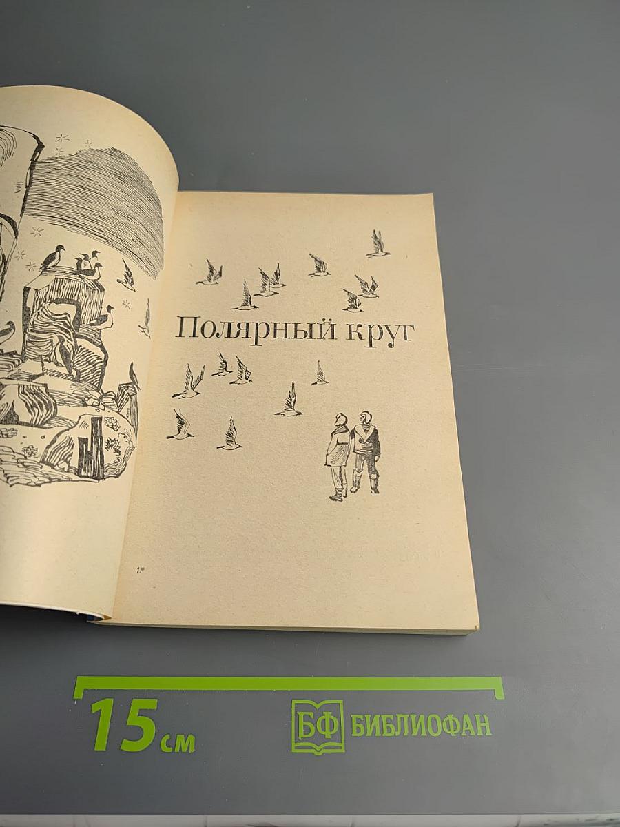 Полярный круг