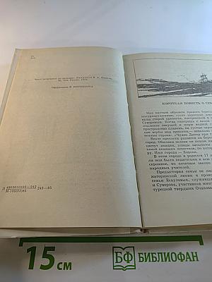 Седьмой спутник