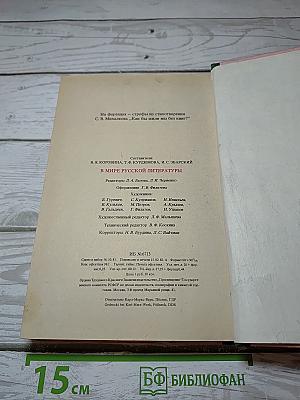В мире русской литературы