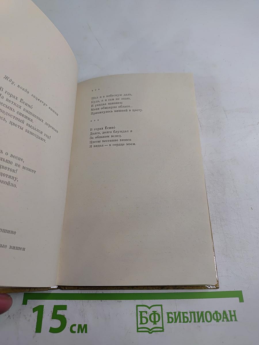 Горная хижина