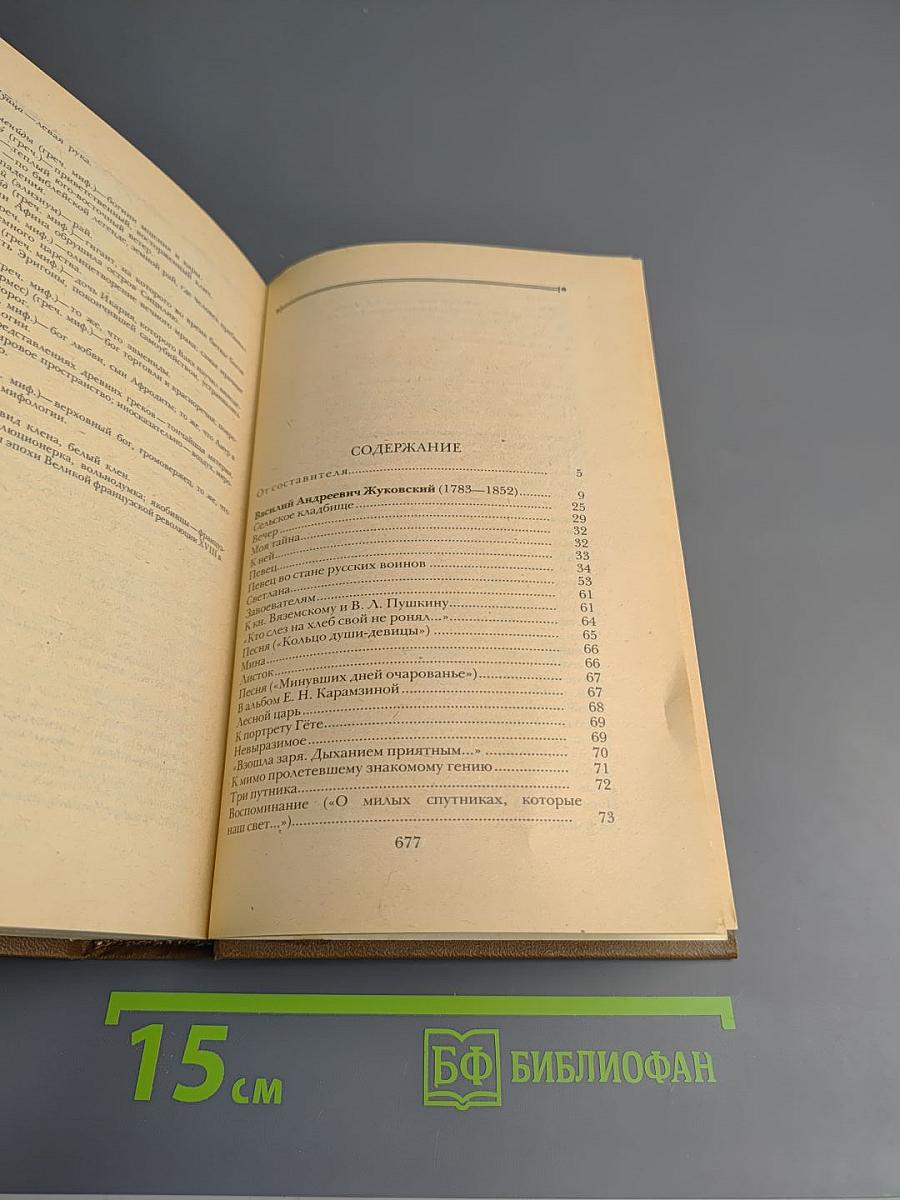 Поэты пушкинского круга