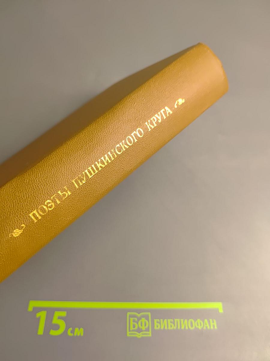 Поэты пушкинского круга