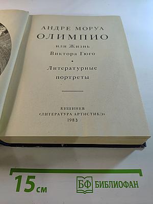 Олимпио или Жизнь Виктора Гюго. Литературные портреты