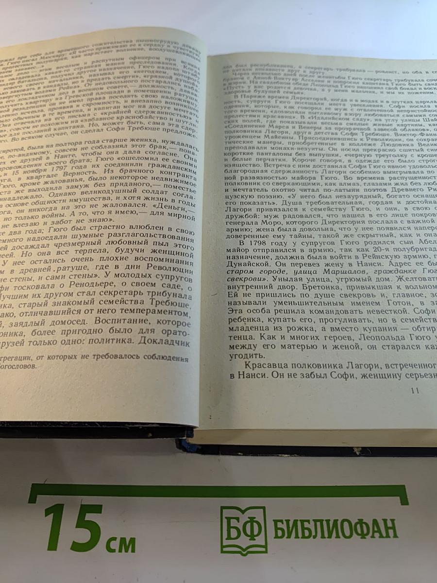 Олимпио или Жизнь Виктора Гюго. Литературные портреты