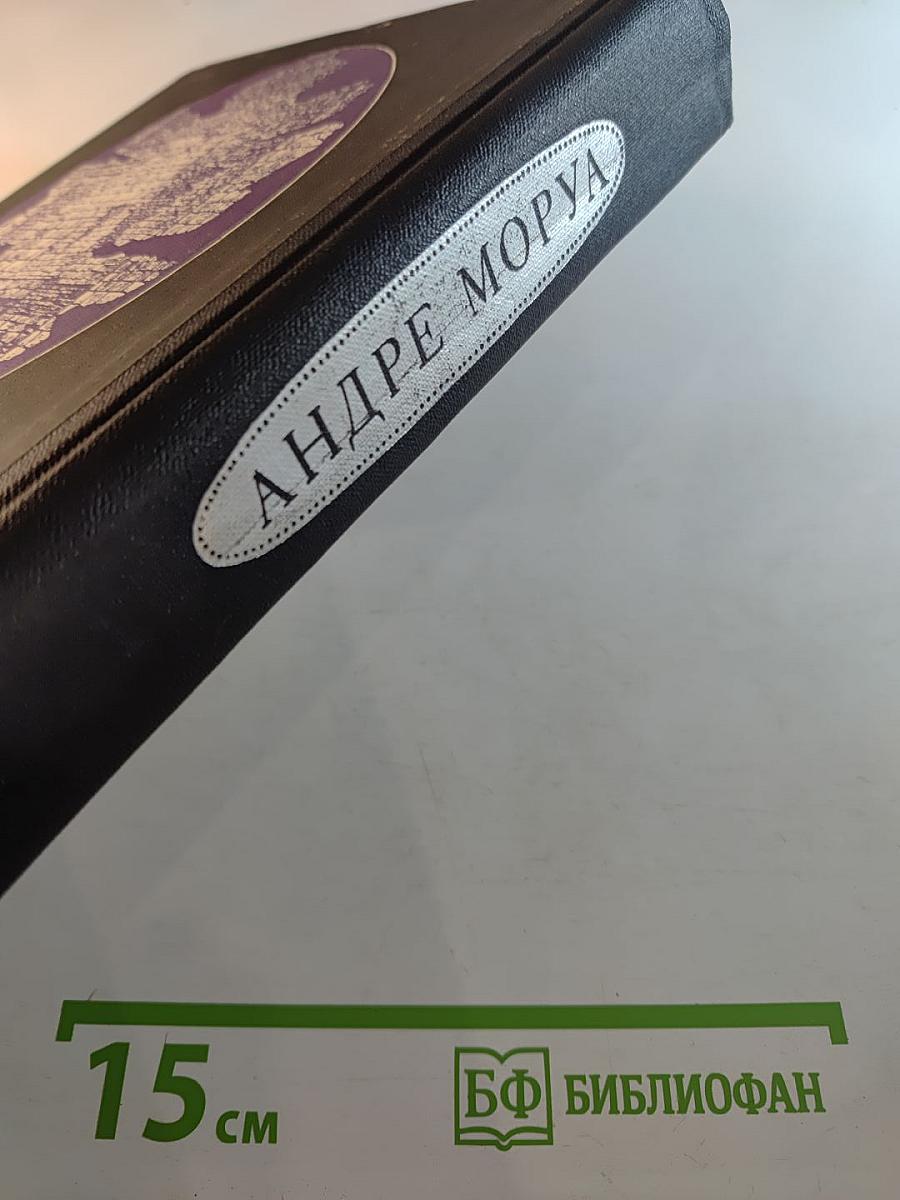 Олимпио или Жизнь Виктора Гюго. Литературные портреты