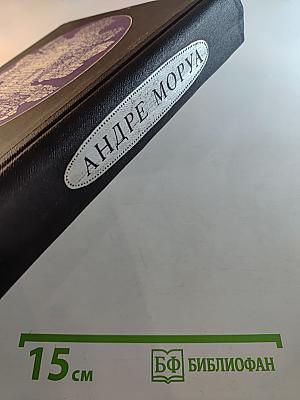 Олимпио или Жизнь Виктора Гюго. Литературные портреты