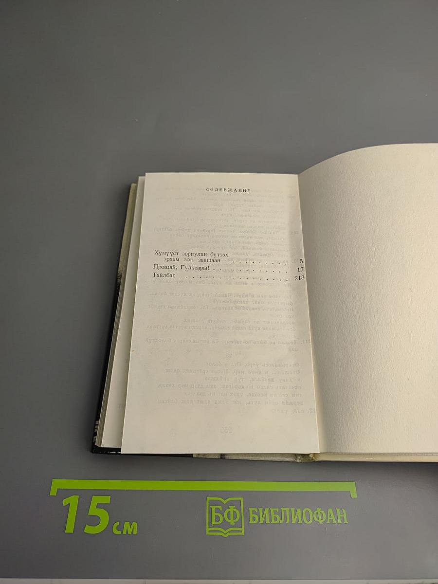 Прощай, Гульсары!