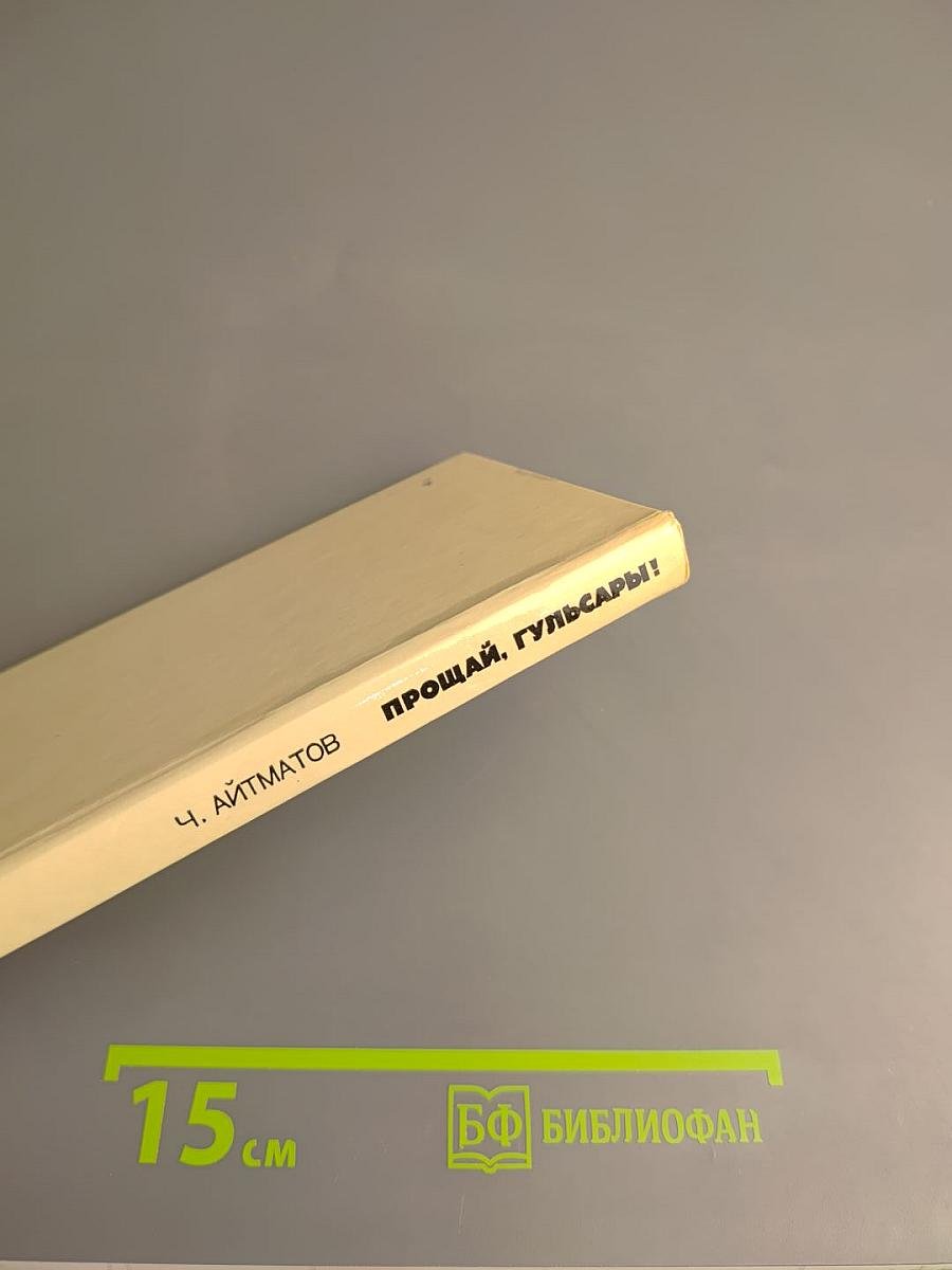 Прощай, Гульсары!