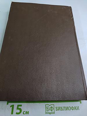 Новая Толковая Библия