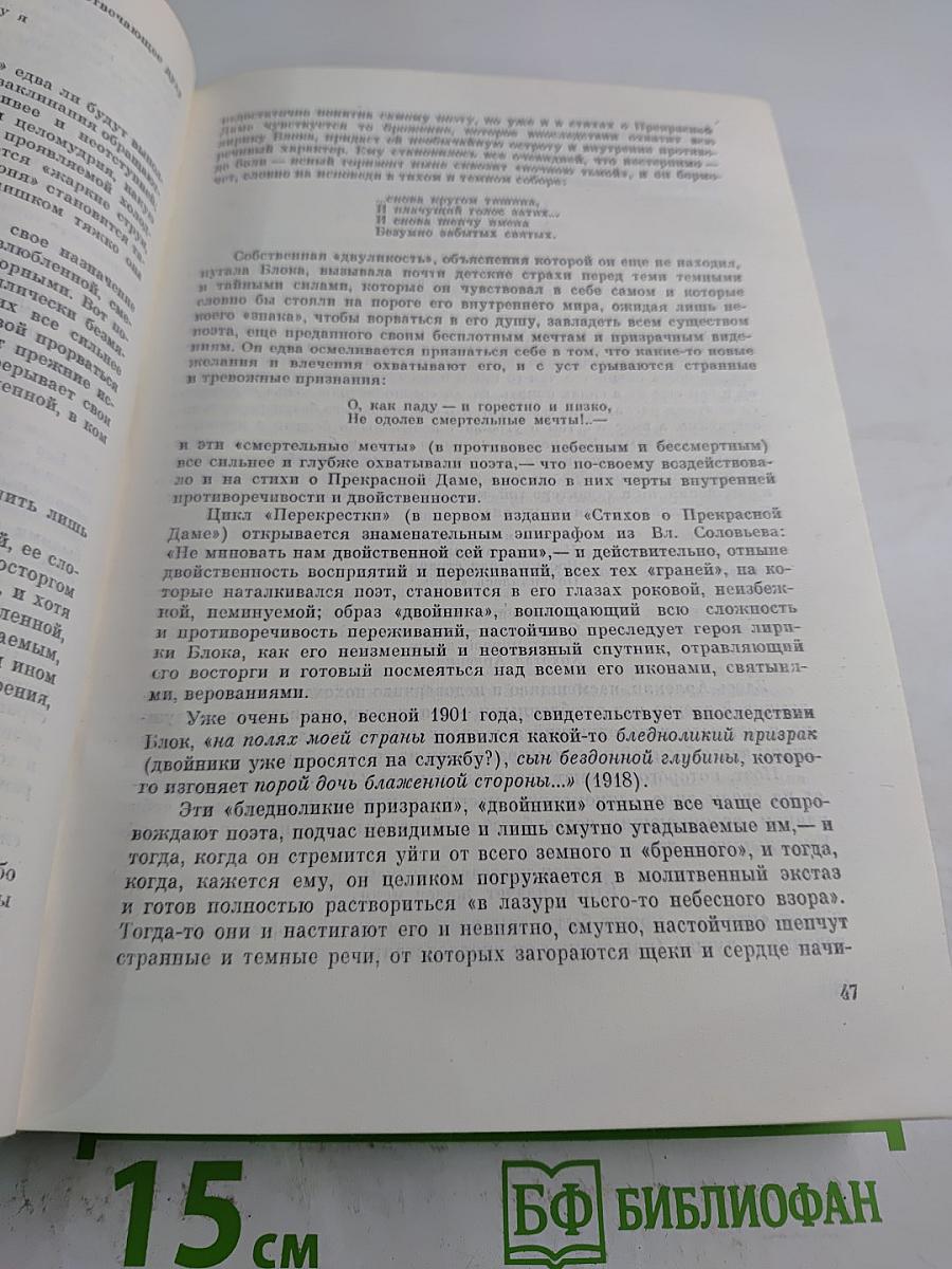 Поэт и его подвиг