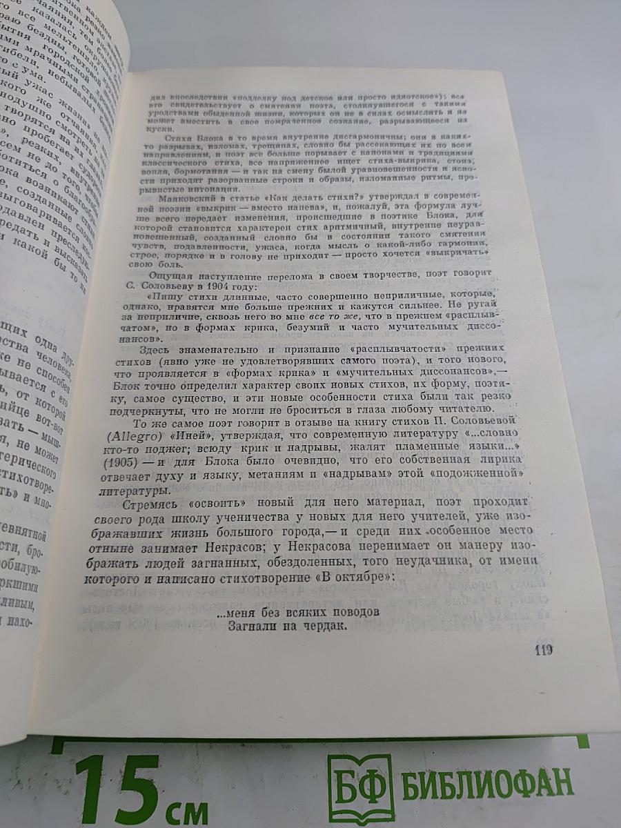 Поэт и его подвиг