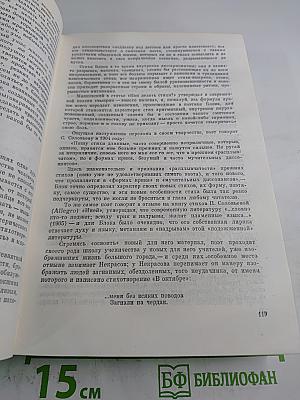 Поэт и его подвиг