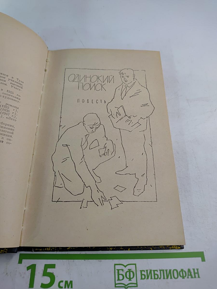 Одинокий поиск. Два долгих дня