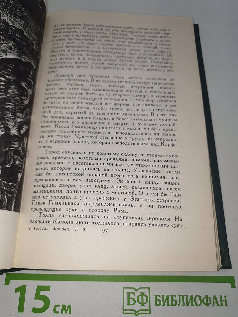 Саламбо. Кандидат